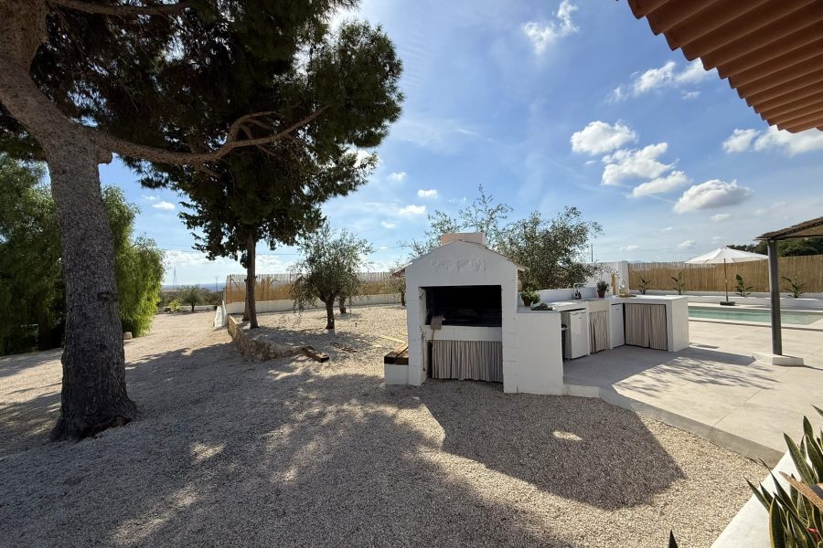 Barbacoa de obra bajo el árbol, en la zona exterior